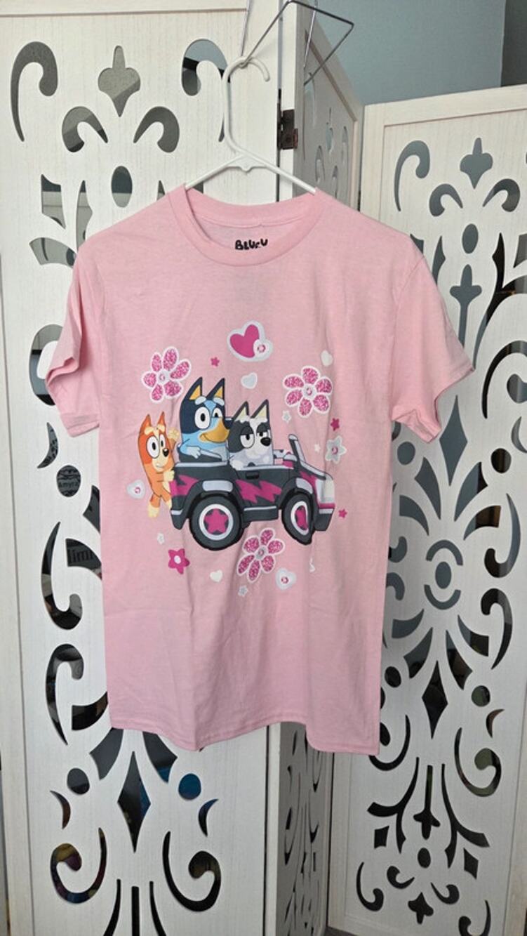 Bluey Girls Kids Medium Pink Graphic Tee Car Flowers Youth M NWT Cotton
